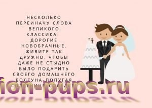 Прикольные свадебные тосты для друга