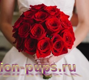 Свадебный букет невесты из красных роз